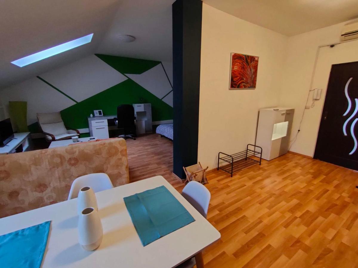 Iosefin House Studio Τιμισοάρα Εξωτερικό φωτογραφία