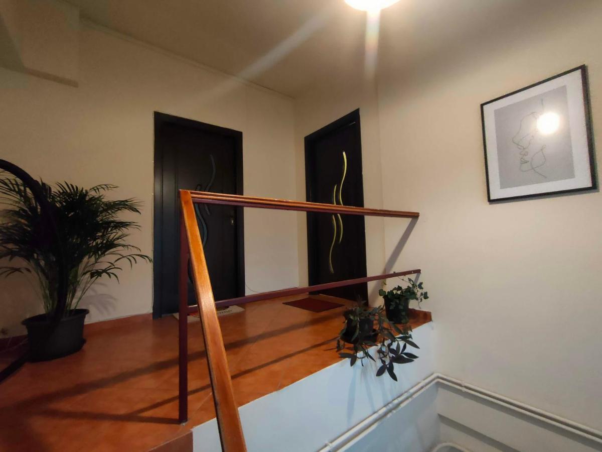 Iosefin House Studio Τιμισοάρα Εξωτερικό φωτογραφία