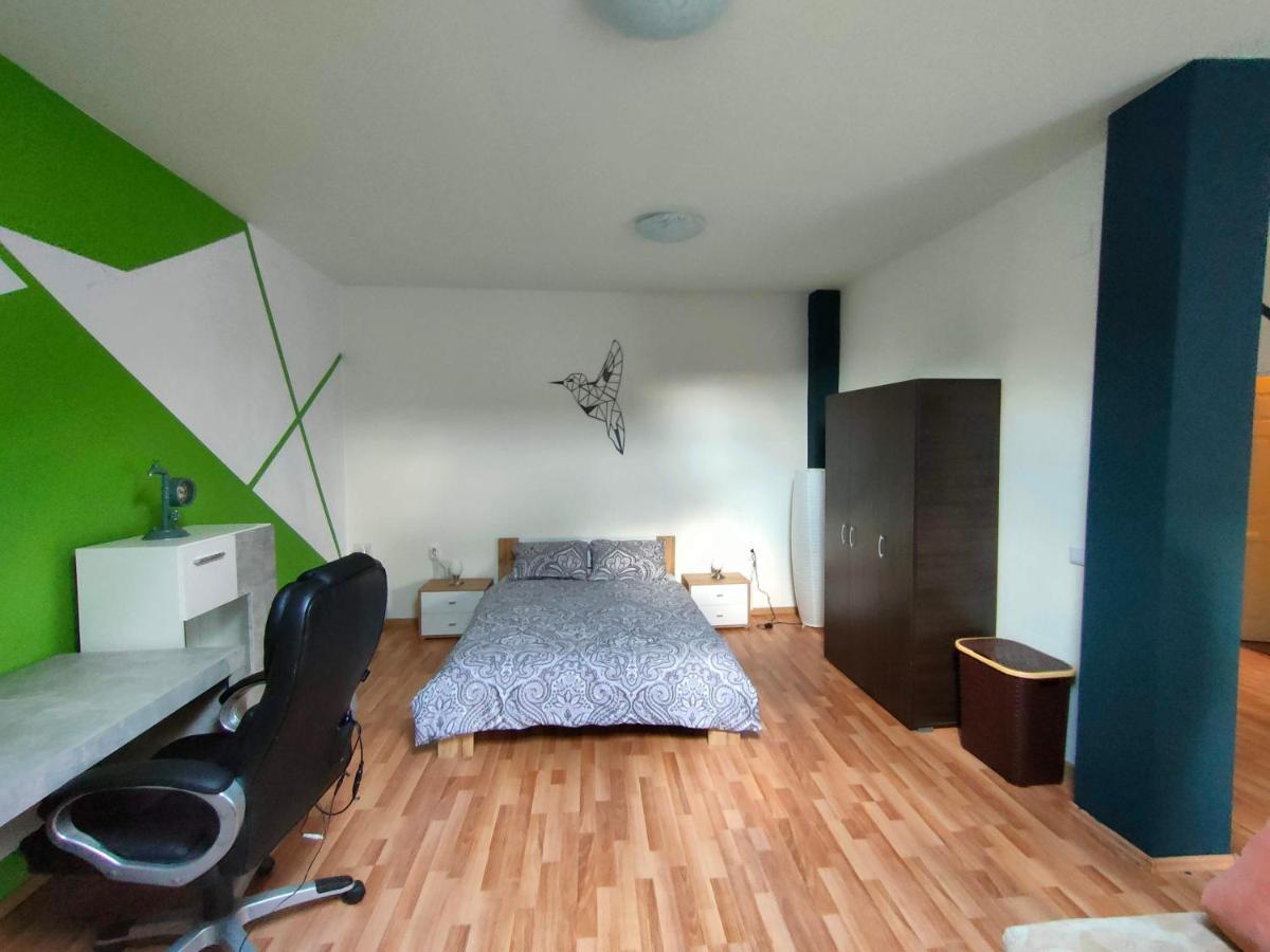 Iosefin House Studio Τιμισοάρα Εξωτερικό φωτογραφία